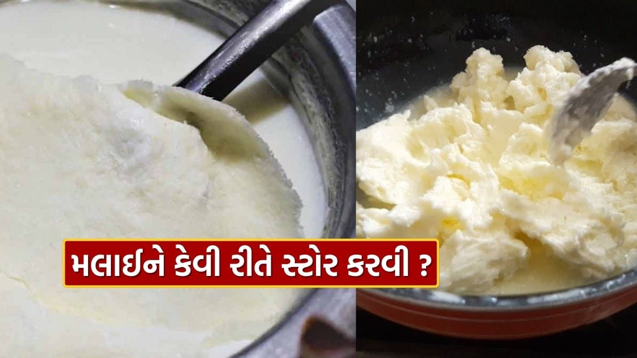 આજકાલ મોટાભાગના લોકો દૂધ પર જામેલી મલાઈ ખાવાનું ટાળે છે. બાળકો તો મલાઈનું નામ સાંભળતા જ નાપસંદગી દર્શાવે છે. એક સમય હતો જ્યારે લોકો સ્કિમ્ડ દૂધ પીવાનું પસંદ કરતા હતા અને મલાઈ વગરનું દૂધ અધૂરું માનવામાં આવતું હતું. પરંતુ છેલ્લા કેટલાક વર્ષોમાં શારીરિક પ્રવૃત્તિમાં ઘટાડો થતાં લોકો મલાઈથી દૂર થવા લાગ્યા છે.