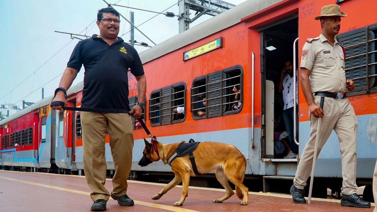 TTE અને TCને જ ટિકિટ ચેક કરવાની અધિકાર હોય છે. તે ટ્રેન અને સ્ટેશન પર મુસાફરોની ટિકિટની તપાસ કરે છે. ટિકિટ વગરના મુસાફરોને દંડ ફટકારે છે. દંડ ફટકાર્યા બાદ અધિકારીઓ મુસાફરોને દંડની રીસીપ પણ આપે છે.