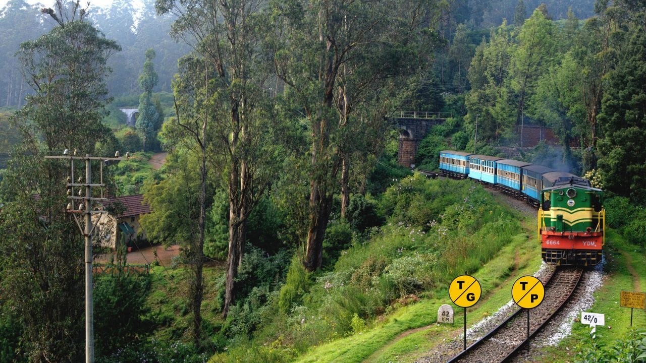 આ સૂચક બોર્ડ ટ્રેનના ડ્રાઇવર માટે માર્ગદર્શનરૂપે મૂકવામાં આવે છે, જેથી તેને ખબર પડે કે ગતિ પ્રતિબંધનો વિસ્તાર હવે પૂર્ણ થયો છે અને ત્યારબાદ ટ્રેનને ફરીથી નિર્ધારિત મહત્તમ ગતિએ ચલાવી શકાય છે.