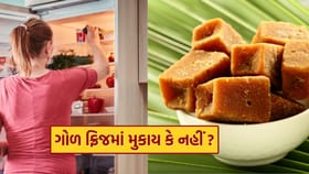 ગોળને રેફ્રિજરેટરમાં સ્ટોર કરાય ? તમે નહીં જાણતા હોવ