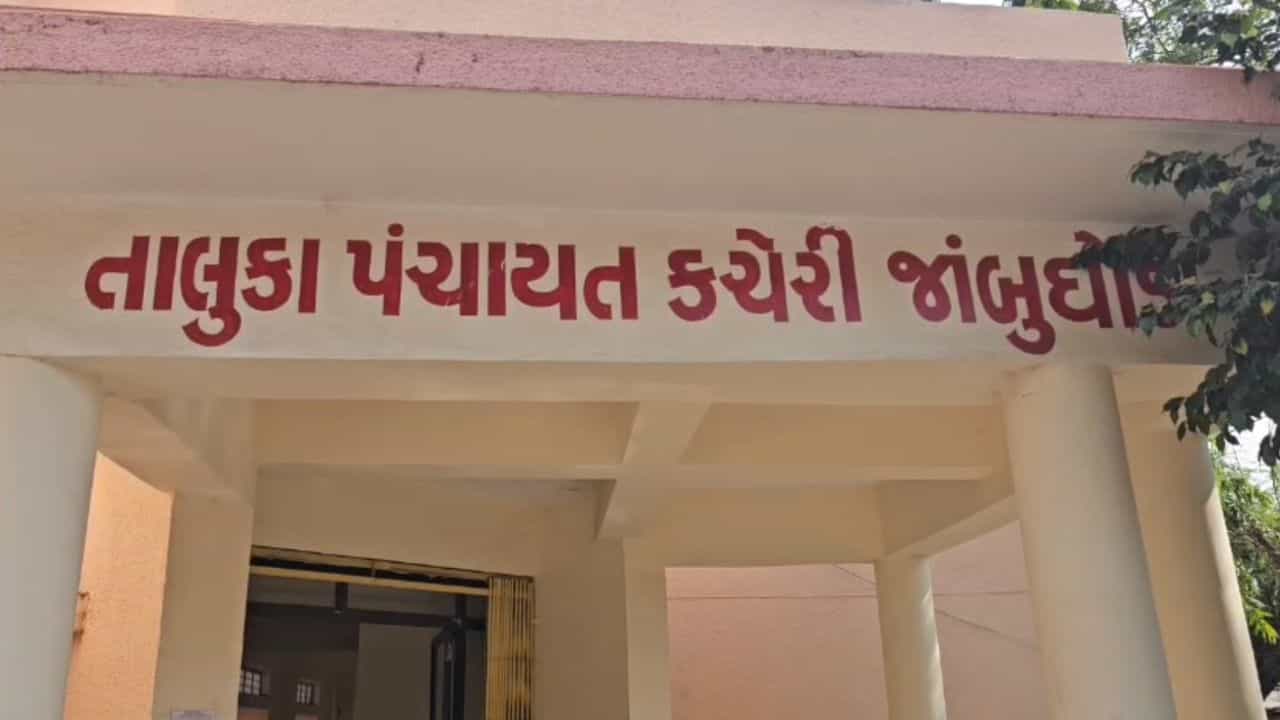 Panchmahal : ખોટા દસ્તાવેજોથી લગ્ન નોંધણીનું કૌભાંડ, 2500 રુપિયામાં કરી આપતા હતા નોંધણી, જુઓ Video