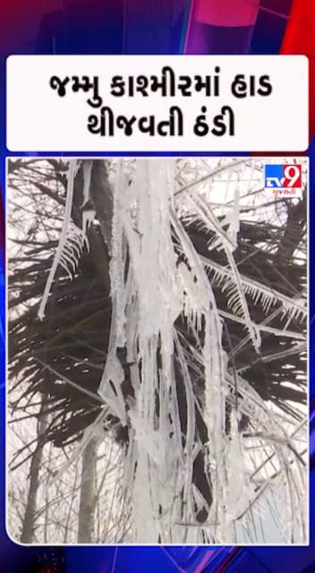 વૃક્ષો પર જામ્યા બરફના થર..