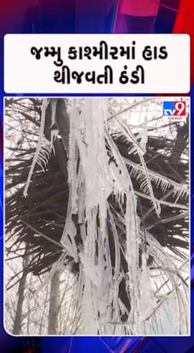 વૃક્ષો પર જામ્યા બરફના થર..