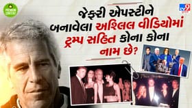 જેના નામ માત્રથી ટ્રમ્પને પરસેવો છૂટી જાય છે એ 'એપસ્ટીન ફાઈલ' છે શું?