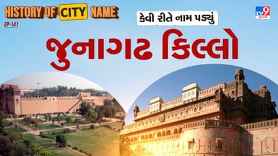 જુનાગઢ કિલ્લો નિર્માણ પામે તે પહેલાં આ સ્થળે રાઓ બીકાએ 1478માં એક પથ્થરનો કિલ્લો બનાવ્યો હતો. રાઓ બીકાએ 1472માં શહેરની સ્થાપના કરી હતી અને તેમના નામ પરથી જ શહેરને બીકાનેર તરીકે ઓળખ મળેલી. તેઓ રાઠોડ વંશના શાસક રાઓ જોધાના બીજા પુત્ર હતા, જેના કારણે જોધપુરની રાજગાદી મળવાની કોઈ શક્યતા નહોતી. તેથી તેમણે તે સમયના જુંગ્લાદેશ તરીકે ઓળખાતા પ્રદેશમાં પોતાનું સ્વતંત્ર રાજ્ય સ્થાપવાનું નક્કી કર્યું.  થરના રણના મધ્યમાં હોવા છતાં, પૂરતા પાણીના સ્ત્રોતો અને ગુજરાતથી મધ્ય એશિયા સુધી જતા મહત્વપૂર્ણ વેપાર માર્ગ પર સ્થિત હોવાને કારણે બીકાનેરનું વ્યૂહાત્મક મહત્વ વધ્યું. આ રીતે બીકાનેર શહેર અને જુનાગઢ કિલ્લાના ઇતિહાસની શરૂઆત થઈ.