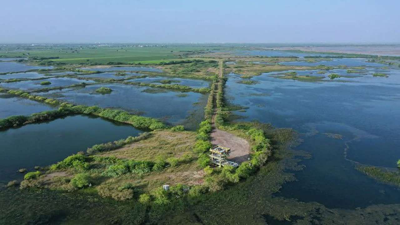 આ પર્યાવરણીય સમૃદ્ધિને વૈશ્વિક માન્યતા મળી છે અને વર્ષ 2022માં ખીજડિયાને આંતરરાષ્ટ્રીય મહત્વ ધરાવતી જળભૂમિ તરીકે રામસર સ્થળનો દરજ્જો પ્રાપ્ત થયો હતો. રાજ્ય સરકાર દ્વારા મુલાકાતીઓ માટે આધુનિક સુવિધાઓ વિકસાવવામાં આવી રહી છે, જેમાં વોચ ટાવર, વન-કુટીરો, પક્ષી નિરીક્ષણ પ્લેટફોર્મ, અર્થઘટન કેન્દ્ર, સેલ્ફી પોઇન્ટ અને માહિતીસભર સાઇનબોર્ડનો સમાવેશ થાય છે.
