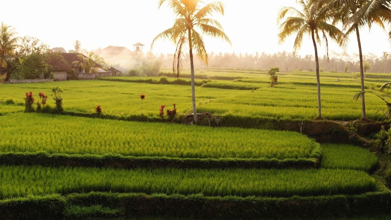 (Disclaimer: જો તમારી પાસે કોઈ ચોક્કસ કેસ હોય તો કાનૂની નિષ્ણાત (વકીલ) ની સલાહ લેવી સલાહભર્યું છે. અહીં આપેલી માહિતી ફક્ત કોર્ટના નિર્ણયો અને કલમોને આધારે આપવામાં આવી છે. તમારે કોઈ કેસ માટે જાણવું હોય તો યોગ્ય વકીલની સલાહ લઈ શકો છો.)(All Image Credit- Canva)