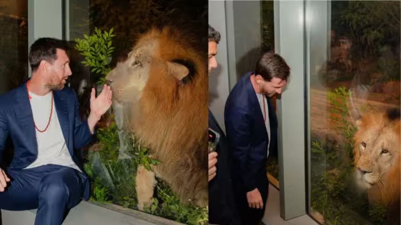 કોલકાતા, હૈદરાબાદ, મુંબઈ અને દિલ્હીમાં તેમના નિર્ધારિત કાર્યક્રમો પૂર્ણ કર્યા પછી, મેસ્સી 15 ડિસેમ્બરની રાત્રે જામનગર પહોંચ્યા. બીજા દિવસે સવારે, તેમણે વનતારા વન્યજીવન બચાવ અને સંરક્ષણ કેન્દ્રની મુલાકાત લીધી. એરપોર્ટથી, તેઓ કારના મોટા કાફલામાં ખાવડીના વનતારા પહોંચ્યા, જ્યાં અંબાણી પરિવાર દ્વારા ખાસ વ્યવસ્થા કરવામાં આવી હતી.