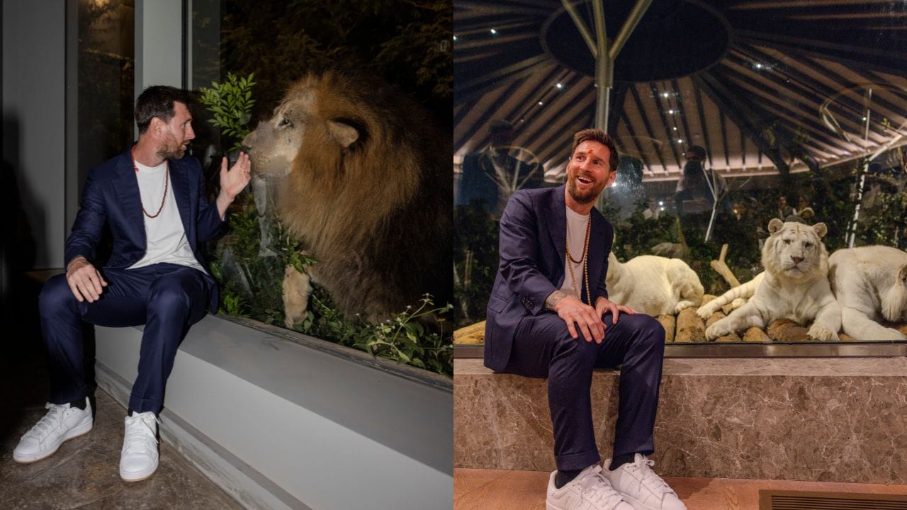 વનતારામાં હાલમાં 43 પ્રજાતિના 2,000થી વધુ પ્રાણીઓ રહે છે. અહીં અંદાજે 200 હાથી, 300થી વધુ ચિત્તા તેમજ વાઘ, સિંહ, જગુઆર અને હરણનો સમાવેશ થાય છે. આ ઉપરાંત મગર, સાપ અને કાચબા સહિત 1,200થી વધુ સરિસૃપ પણ અહીં સંરક્ષિત છે. પ્રાણીઓની સંભાળ માટે લગભગ 2,100 લોકોનો પ્રશિક્ષિત સ્ટાફ કાર્યરત છે.