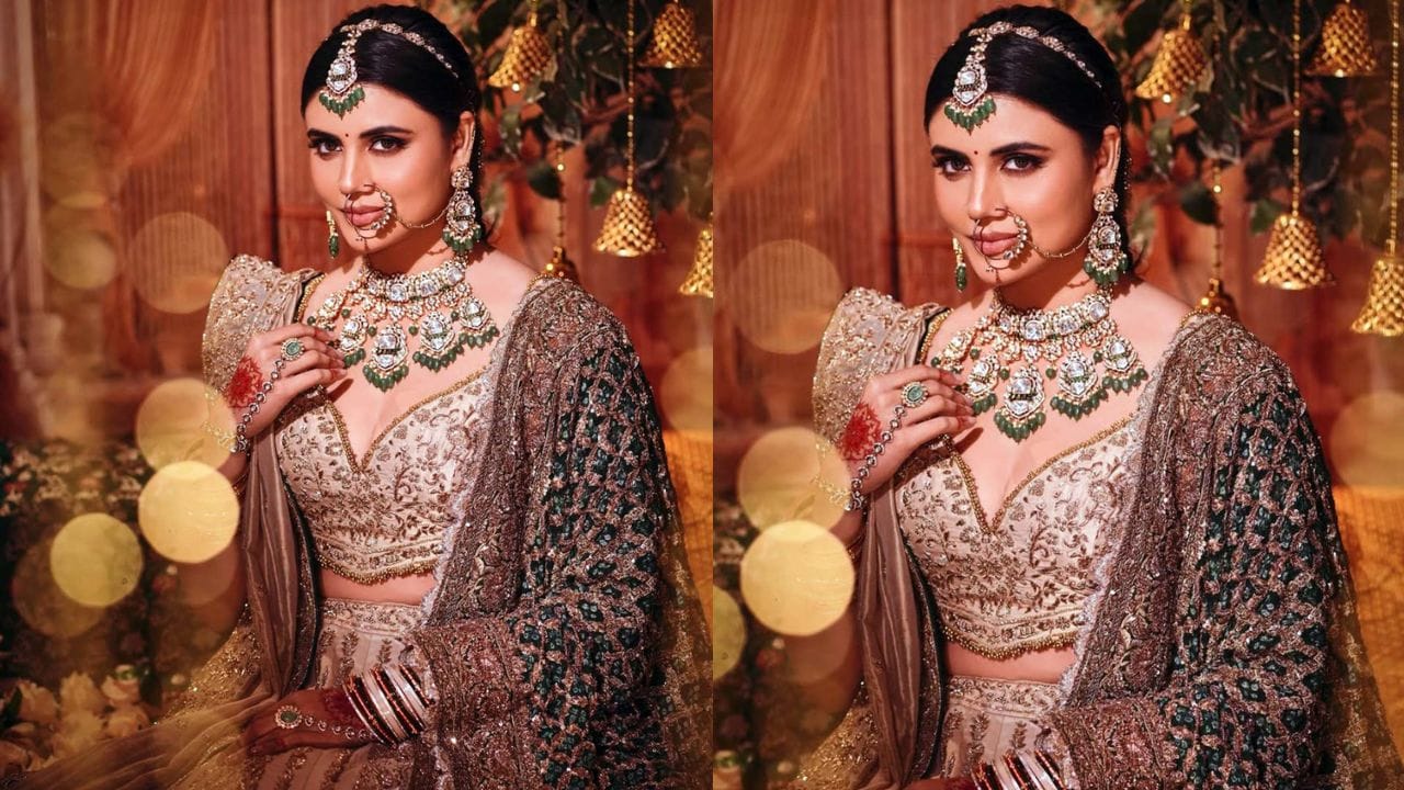 દુલ્હનના કપડામાં તૈયાર થયેલ, માલતી ચાહર ખુબ જ સુંદર અને સ્ટાઇલમાં લાગી રહી છે. ચાહકો તેના ગ્રેસ અને મોહક સ્ટાઇલથી મોહિત થયા છે. તેના રોયલ બ્રાઇડલ લુકમાં, માલતી કોઈ રુપસુંદરી લાગી રહી છે.