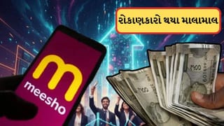 Meesho એ રોકાણકારોને કર્યા માલામાલ, 13%નો શેરમાં આવ્યો ઉછાળો