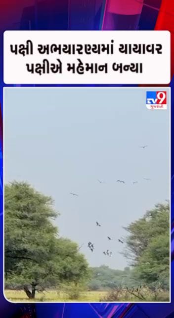 પક્ષી પ્રેમીઓ માટે આનંદના સમાચાર