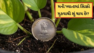 મની પ્લાન્ટમાં સિક્કો મુકવાથી શું થાય છે? જાણો વાસ્તુનો આ મોટા લાભ કરાવતો ઉપાય