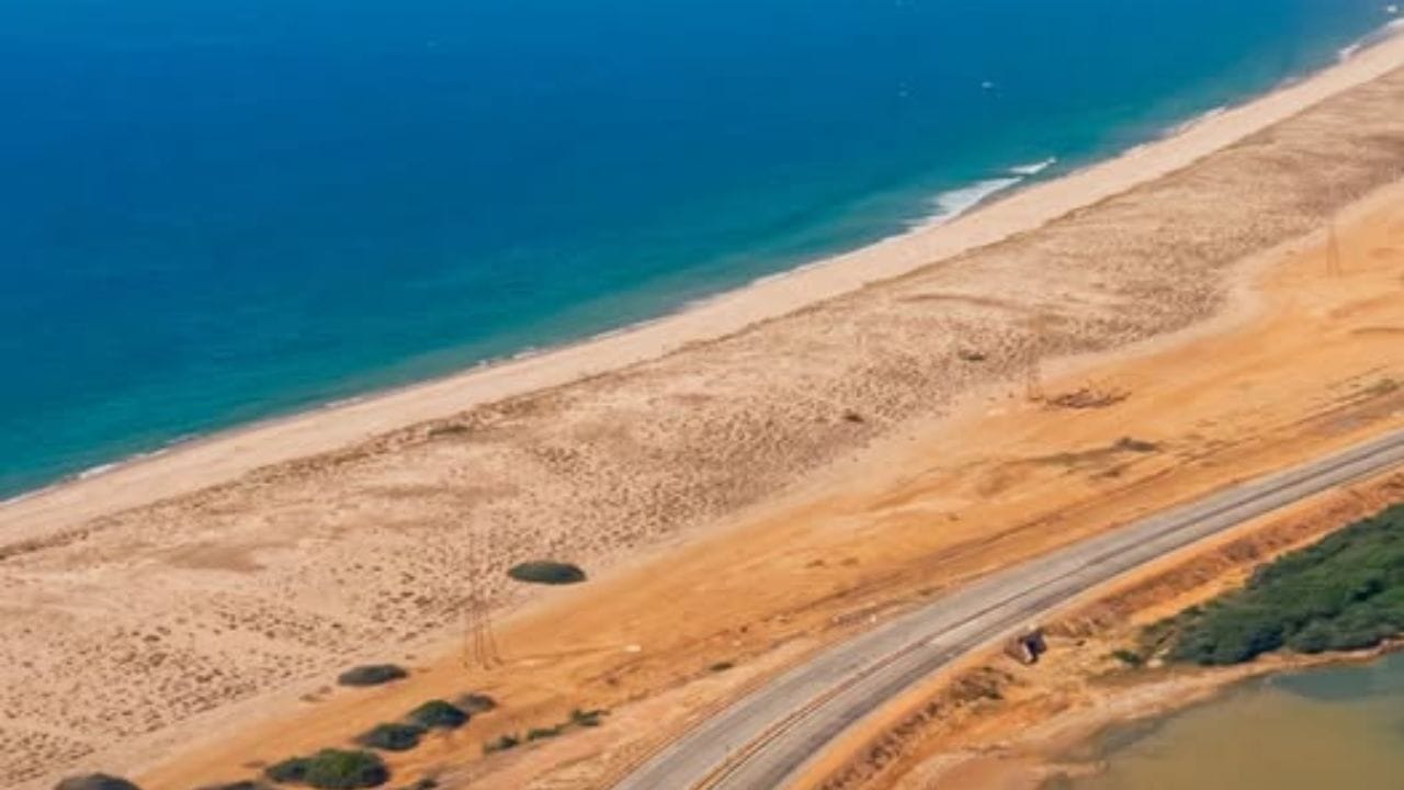 ગુજરાતના દરિયાકિનારાની સુંદરતા અને આસપાસના પ્રકૃતિના નયનરમ્ય નજારા પ્રવાસીઓને આકર્ષે છે, તમે ગુજરાતના શિવરાજ પુર બીચ સહિત અન્ય બીચ ન્યુયર સેલિબ્રેટ કરવાનો પ્લાન બનાવી શકો છો. તમે આ બધા સ્થળો પર ક્રિસમસની પણ ઉજવણી કરી શકો છો.