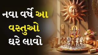 New Year 2026: નવા વર્ષ 2026માં તમારું નસીબ સૂર્યની જેમ ચમકશે, ઘરે લાવો આ વસ્તુઓ