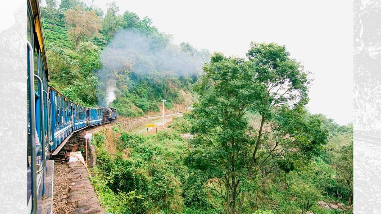 આ ટ્રેન સમતલ ભૂમિ પરથી પોતાની યાત્રા શરૂ કરીને ધીમે ધીમે ઊંચાઈ તરફ આગળ વધે છે. સફર દરમિયાન તે 208 વળાંકો, 250 પુલો અને 16 ટનલ પાર કરે છે. દરેક ક્ષણે મુસાફરોને કંઈક નવું અને મનોહર દૃશ્ય જોવા મળે છે. તેથી જ અનેક પ્રવાસીઓ આ યાત્રાને “પર્વતોમાં ફરતું જીવંત સંગ્રહાલય” કહે છે, કારણ કે કોચની રચના અને ગિયર સિસ્ટમનો સતત સંભળાતો અવાજ આ મુસાફરીને એક અનોખો અને યાદગાર અનુભવ બનાવી દે છે. ( Credits: Getty Images )