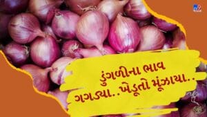 ડુંગળીએ ખેડૂતોને રડાવ્યા, ખેતીનો ખર્ચ પણ ન નીકળે તેવી સ્થિતિ, જુઓ Video