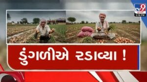 સૌરાષ્ટ્રના ખેડૂતોને ડુંગળીના પોષણક્ષમ ભાવ ન મળતા ઉત્પાદન ખર્ચ માથે પડ્યો,  રડતા રડતા જણાવી વ્યથા- VIDEO