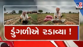 સૌરાષ્ટ્રના ખેડૂતોને ડુંગળીના પોષણક્ષણ ભાવ ન મળતા પારાવાર નુકસાન-VIDEO
