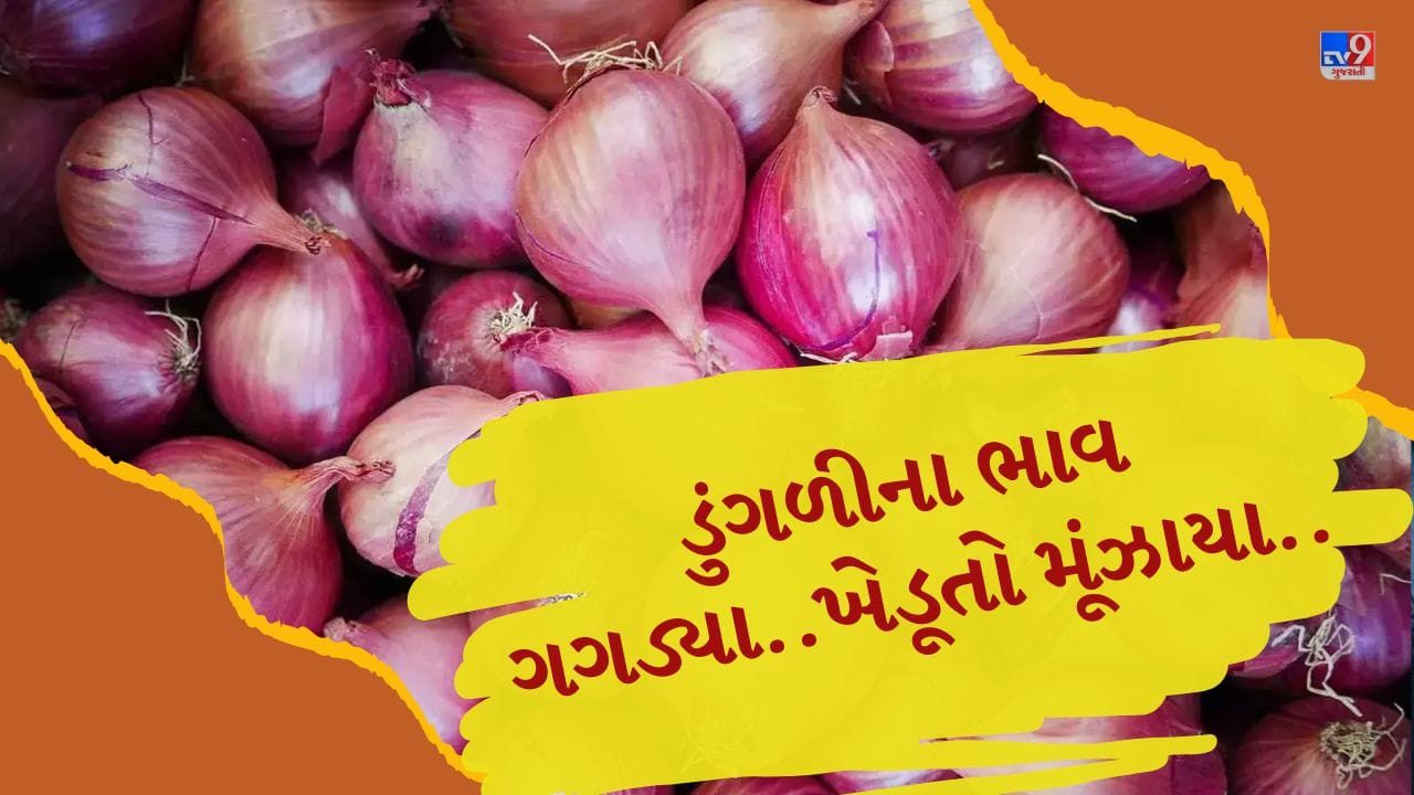 ડુંગળીએ ખેડૂતોને રડાવ્યા, ખેતીનો ખર્ચ પણ ન નીકળે તેવી સ્થિતિ, જુઓ Video