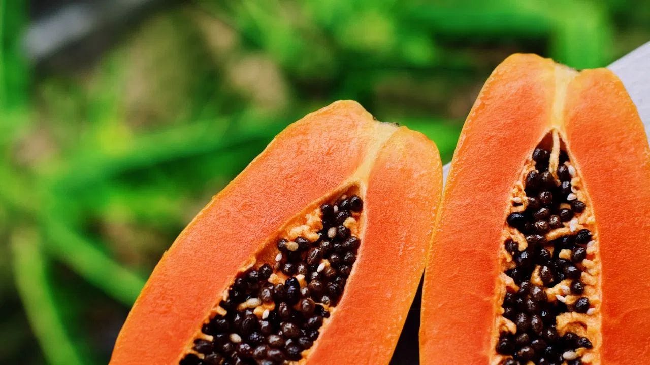 રોગપ્રતિકારક શક્તિ વધારે - વિટામિન C અને એન્ટીઑક્સિડન્ટ્સથી ભરપૂર પપૈયા શરદી–ફ્લૂ જેવી સિઝનની બીમારીઓ સામે રક્ષણ આપે છે.
