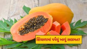 શિયાળામાં પપૈયું ખાવું સલામત? આયુર્વેદ મુજબ તેની તાસીર ગરમ છે કે ઠંડી!