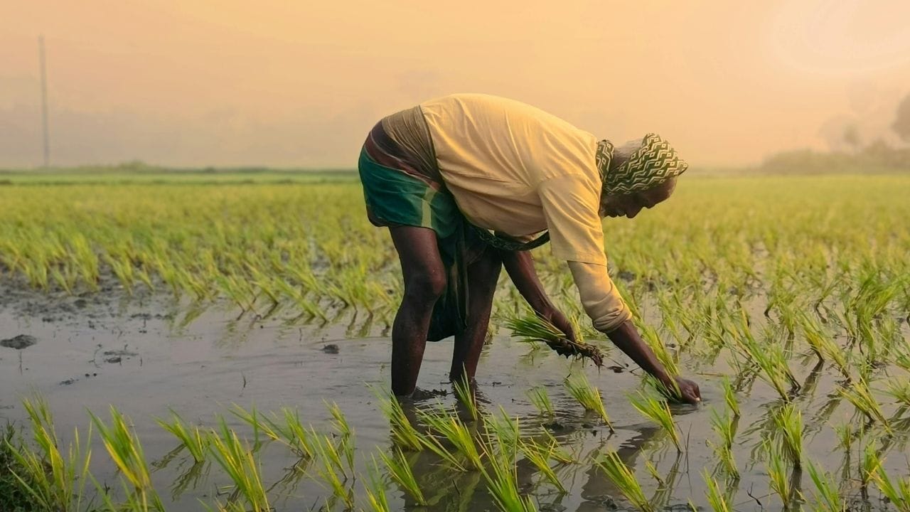 PM Kisan Budget Hike 6000 to 9000 Financial Aid for Farmers (3)