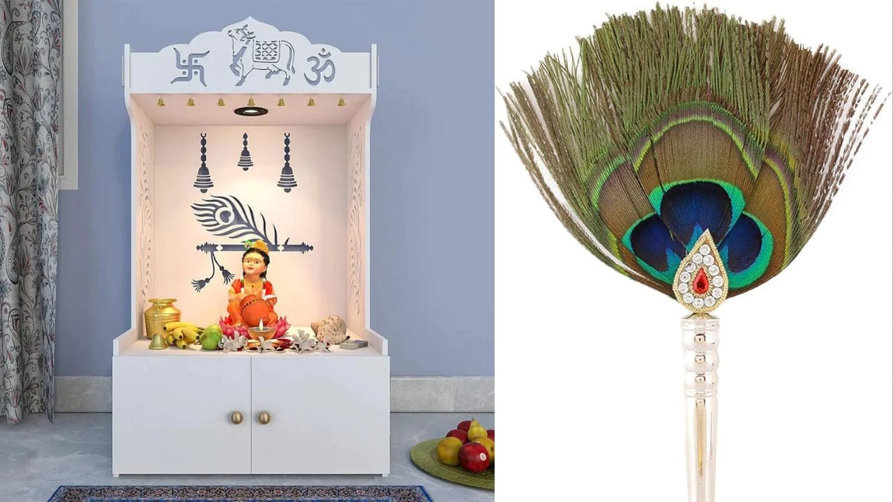 પ્રાર્થના રુમ કે મંદિરમાં: તમારા ઘરના મંદિરમાં 3 અથવા 7 મોર પીંછા રાખો. આ ઘરમાં સકારાત્મક ઉર્જા વધારે છે અને ભગવાન કુબેરને પ્રસન્ન કરે છે. દૈનિક પ્રાર્થના દરમિયાન, મોરના પીંછાને સ્પર્શ કરો અને સંપત્તિ માટે પ્રાર્થના કરો. આ વિધિ તમારા ઘરમાં સમૃદ્ધિ, સુખ અને શાંતિ લાવે છે. પૈસા આવે છે અને રહે છે.