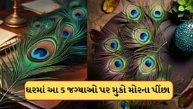 ઘરમાં આ 5 જગ્યાઓ પર મુકો મોરના પીંછા, કુબેર દેવ વરસાવશે ધનની વર્ષા
