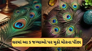 ઘરમાં આ 5 જગ્યાઓ પર મુકો મોરના પીંછા, કુબેર દેવ વરસાવશે ધનની વર્ષા