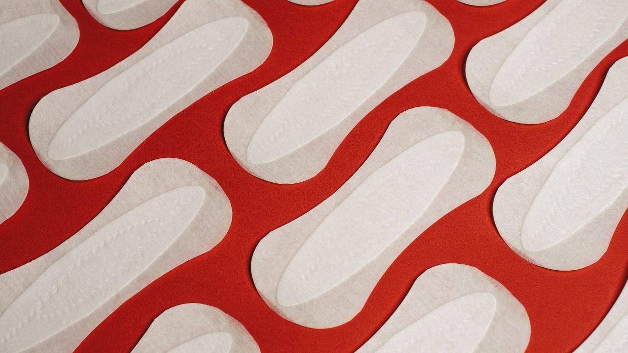 નોંધ : અહીં આપવામાં આવેલી માહિતી ફક્ત આપની જાણકારી માટે છે. કોઈ પણ ઈલાજ કરતાં પહેલા કે,અમલમાં લેતા પહેલા નિષ્ણાતોની સલાહ લેવી જરુરી છે. ( all photo:canva)