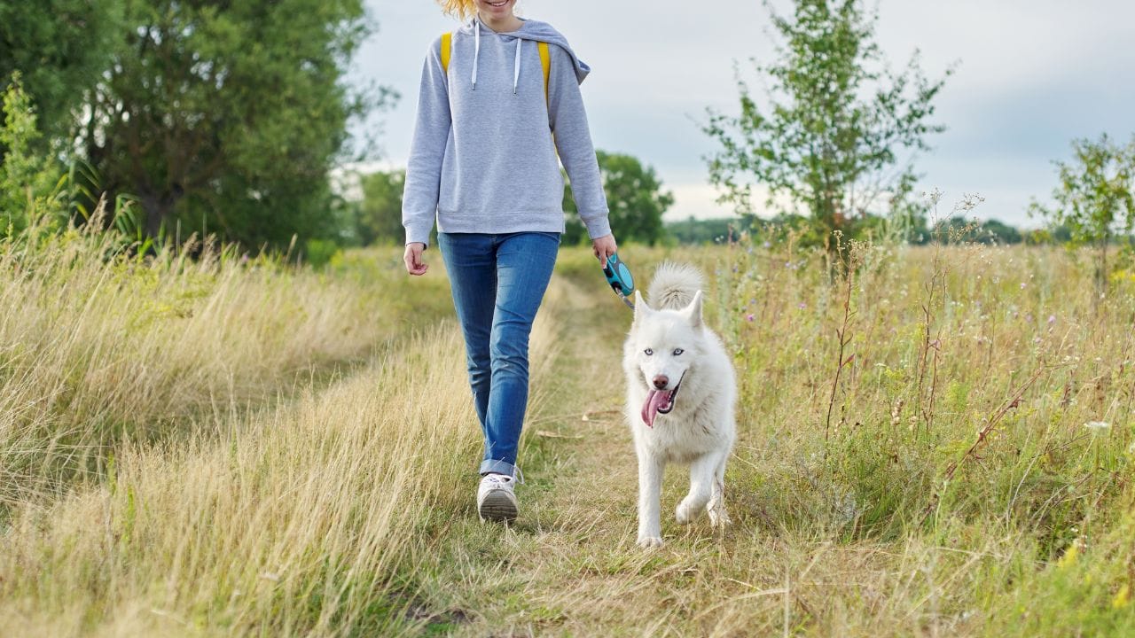 ઘરની બહાર નીકળતા પહેલા તમારા શ્વાનને મોર્નિંગ વોક પર લઈ જવું ખૂબ જ મહત્વપૂર્ણ છે. થોડી દોડધામ, પોટી બ્રેક માટે પૂરતો સમય અને થોડો રમવાનો સમય તમારા શ્વાનને શાંત અને હળવો રાખે છે. વોક બાદ તેને ભરપૂર ભોજન આપવું જરૂરી છે, જેથી તે સંતોષ અનુભવે અને દિવસ દરમિયાન બેચેની ન અનુભવે.