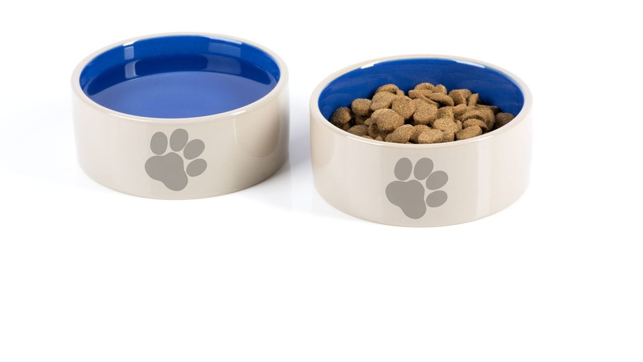 ઘર બંધ કરતા પહેલા, તમારા શ્વાન માટે પૂરતું તાજું અને સ્વચ્છ પાણી ઉપલબ્ધ હોવાની ખાતરી કરો. એકના બદલે બે પાણીના બાઉલ રાખવા શ્રેષ્ઠ રહે છે, જેથી જો એક બાઉલ છલકાઈ જાય તો બીજું તરત ઉપયોગમાં લઈ શકાય. પાણીના બાઉલને સીધા સૂર્યપ્રકાશથી દૂર રાખવા જોઈએ.