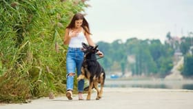 Dog ને નિયમિતપણે Walking કરાવવું કેમ જરૂરી છે?