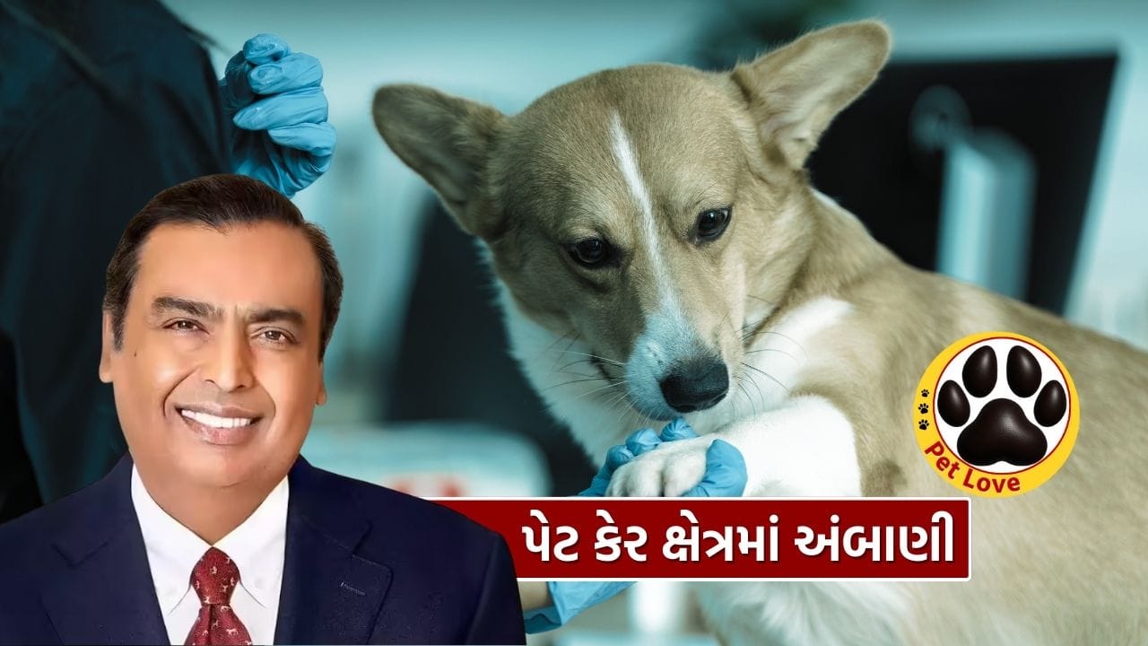 રિલાયન્સ ઇન્ડસ્ટ્રીઝની FMCG યુનિટ રિલાયન્સ કન્ઝ્યુમર પ્રોડક્ટ્સ લિમિટેડ (RCPL) એ હવે પાલતુ સંભાળ સેગમેન્ટમાં સત્તાવાર પ્રવેશ કર્યો છે. કંપનીએ નવું પેટ ફૂડ બ્રાન્ડ “વેગીઝ (Waggies)” લોન્ચ કર્યું છે. RCPLના જણાવ્યા અનુસાર બ્રાન્ડનો મુખ્ય ફોકસ પોષણક્ષમ અને વૈજ્ઞાનિક સંશોધન આધારિત ખોરાકને પાલતુ પ્રાણીઓ સુધી પહોંચાડવાનો છે.