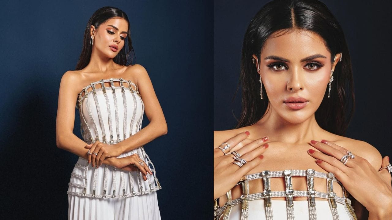 તમને જણાવી દઈએ કે, પ્રિયંકા ચહર ચૌધરીને રિયાલિટી શો બિગ બોસ 19માં નાગિનના રુપમાં રીલિઝ કરી હતી.હવે આપણે પ્રિયંકાની નેટવર્થ અને તેના ચાર્જ વિશે જાણીએ.