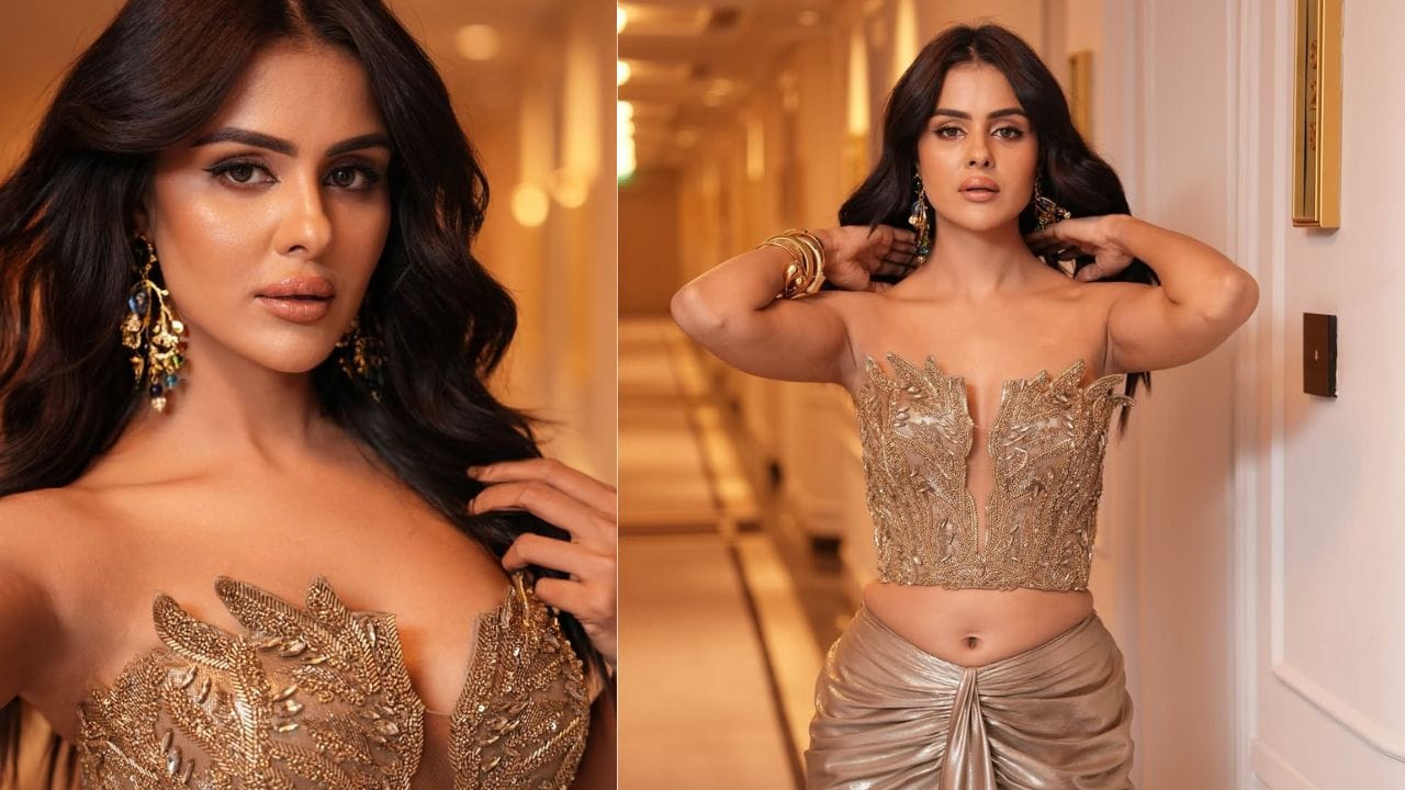 તમને જણાવી દઈએ કે, પ્રિયંકા ચહર ચૌધરી ટીવી સીરિયલ, મોડલિંગ સોશિયલ મીડિયા તેમજ જાહેરાત દ્વારા ખુબ સારી કમાણી કરે છે.તેમણે એક મોડેલ તરીકે પોતાની કારકિર્દીની શરૂઆત કરી અને ટૂંક સમયમાં જ ટેલિવિઝનની દુનિયામાં પ્રવેશ કર્યો. તે "ગઠબંધન", "યે હૈ ચાહતેં", "પરિણીતી" અને "ઉડારિયાં" જેવા શોમાં જોવા મળી. 