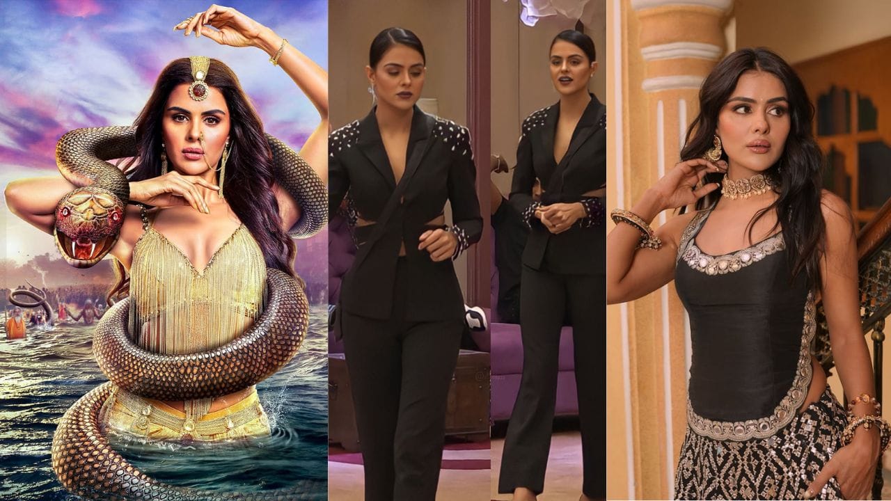 તમને જણાવી દઈએ કે, પ્રિયંકા ચહર ચૌધરી ટીવી સીરિયલ, મોડલિંગ સોશિયલ મીડિયા તેમજ જાહેરાત દ્વારા ખુબ સારી કમાણી કરે છે.