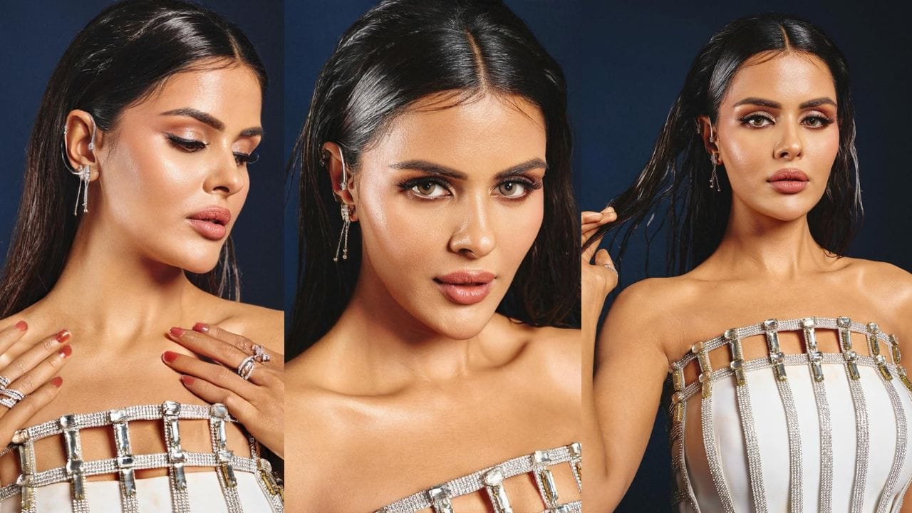 પ્રિયંકાએ 2019માં પોતાનું નામ પરીથી બદલીને પ્રિયંકા રાખ્યું. ન્યુમેરોલોજીના કારણે તેણે પોતાનું નામ બદલ્યું.