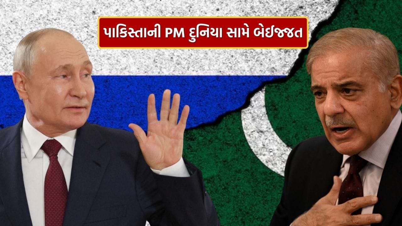 Breaking News: Despite waiting for 40 minutes, Putin was not found... Pakistani PM Shahbaz Sharif is disgraced in front of the world Breaking News: Despite waiting for 40 minutes, Putin was not found... Pakistani PM Shahbaz Sharif is disgraced in front of the world