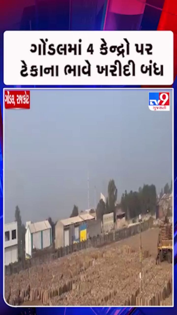 રાજકોટ: ગોંડલમાં 4 કેન્દ્રો પર ટેકાના ભાવે ખરીદી બંધ