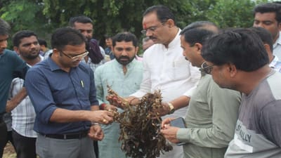 માવઠાથી નુકસાન સામે 3.39 લાખથી વધુ ખેડૂતોને 1098 કરોડથી વધુની સહાય ચૂકવાઈ