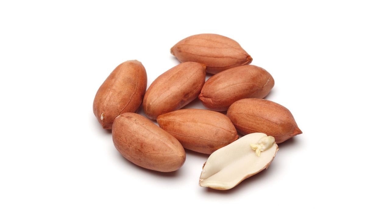 શેકેલા મગફળી પોષક તત્વોથી ભરપૂર હોય છે. તેમાં પ્રોટીન, સ્વસ્થ ચરબી, ડાયેટરી ફાઇબર, વિટામિન E, વિટામિન B કોમ્પ્લેક્સ, મેગ્નેશિયમ, ફોસ્ફરસ અને પોટેશિયમ જેવા મહત્વપૂર્ણ તત્વો હોય છે. આ પોષક તત્વો શરીરને ઊર્જા આપે છે અને સામાન્ય સ્વાસ્થ્ય જાળવવામાં મદદ કરે છે. વધુમાં, તેમાં રહેલી સારા પ્રકારની ચરબી હૃદયના સ્વાસ્થ્ય માટે લાભદાયક માનવામાં આવે છે, કારણ કે તે ખરાબ કોલેસ્ટ્રોલને નિયંત્રિત કરવામાં મદદ કરે છે. જોકે, કેટલીક પરિસ્થિતિઓમાં શેકેલા મગફળીનું સેવન ટાળવું જરૂરી બને છે.