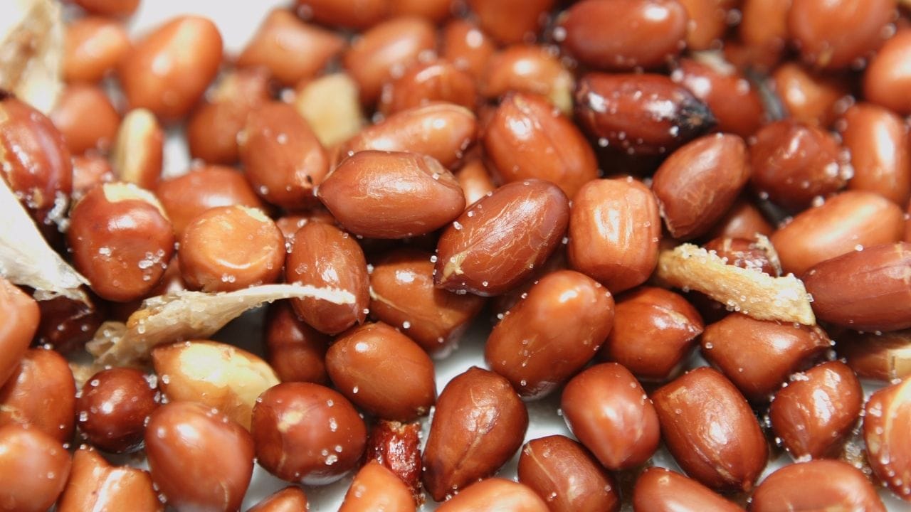 પિત્ત દોષ અથવા લીવરની સમસ્યા ધરાવતા લોકોએ પણ શેકેલા મગફળી ટાળવી જોઈએ. મગફળીમાં તેલનું પ્રમાણ વધારે હોય છે, જે લીવર પર વધારાનો ભાર પાડી શકે છે અને સમસ્યાઓ વધારે ગંભીર બનાવી શકે છે.