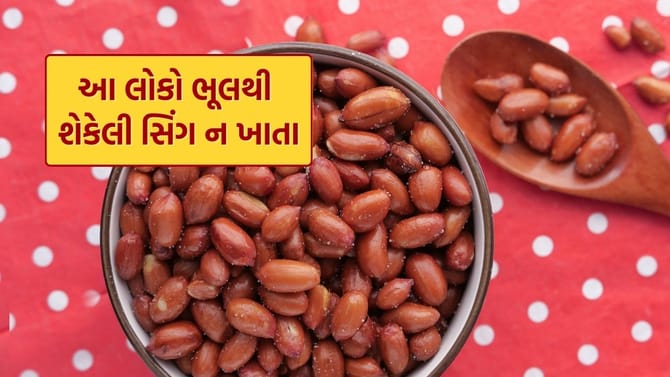 શેકેલી સિંગ કોણે ન ખાવી જોઈએ? તમે નહીં જાણતા હોવ