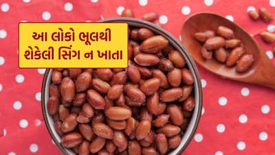 મગફળી (સિંગ) શિયાળાનો લોકપ્રિય અને સ્વાદિષ્ટ નાસ્તો માનવામાં આવે છે. ઘણા લોકો તેને શેકીને, ગોળ સાથે અથવા ચટણી સાથે ખાવાનું પસંદ કરે છે. મગફળીમાં પ્રોટીન, સ્વસ્થ ચરબી, ફાઇબર અને અનેક જરૂરી પોષક તત્વો ભરપૂર પ્રમાણમાં હોય છે, જે શરીરને ઊર્જા અને શક્તિ આપે છે. જોકે, દરેક વ્યક્તિ માટે શેકેલા મગફળી ફાયદાકારક હોય એવું નથી.