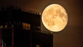 આજે રાતે દેખાશે 2025નો છેલ્લો 'સુપરમૂન',જાણો ક્યાં અને ક્યારે જોઈ શકશો