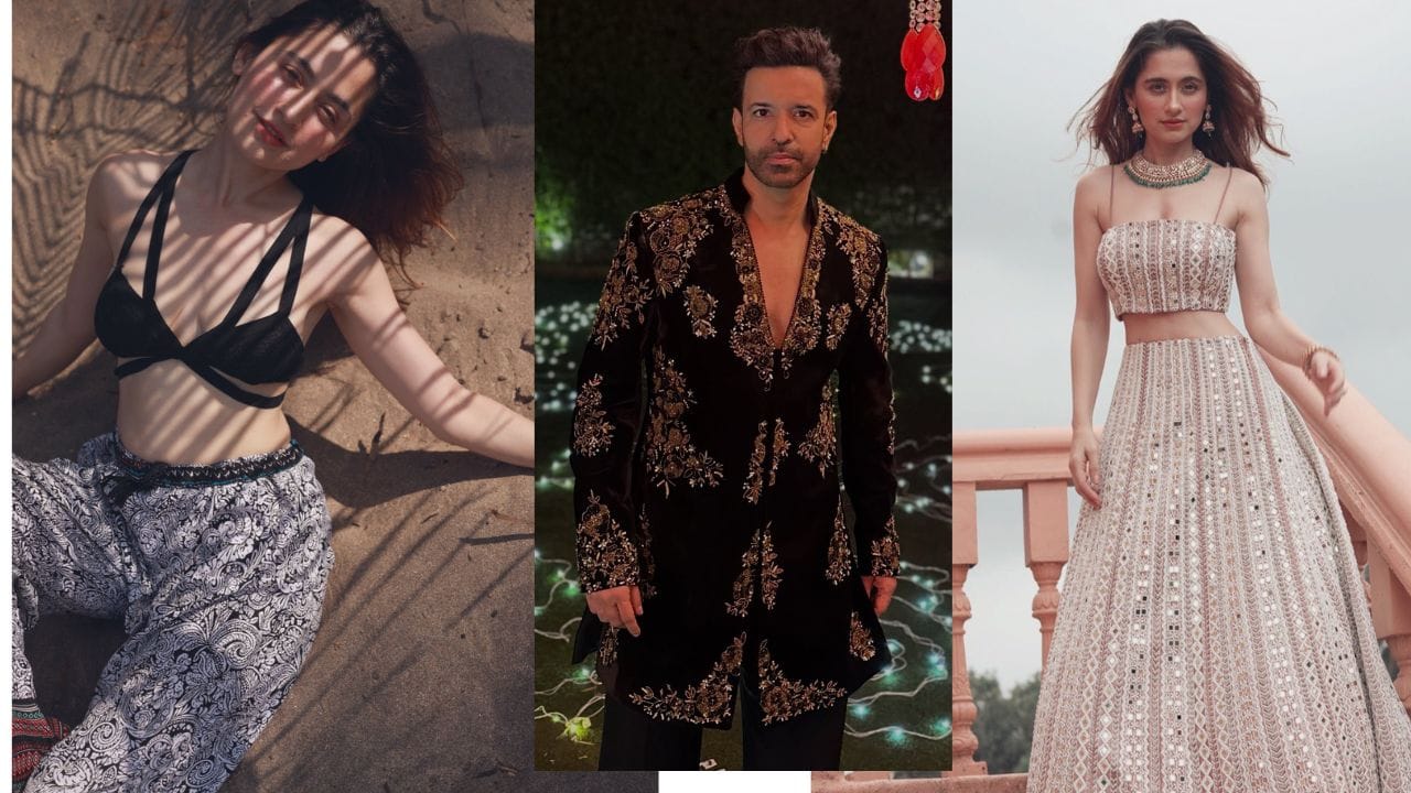 સંજીદા શેખે 2003માં પોતાની કારકિર્દીની શરૂઆત કરી હતી.સંજીદા શેખે તેમના પતિ સાથે "નચ બલિયે 3" માં પણ જોવા મળી હતી અને તે સીઝન જીતી હતી. થોડા વર્ષોમાં સંજીદા શેખ એક લોકપ્રિય ટેલિવિઝન અભિનેત્રી બની ગઈ.