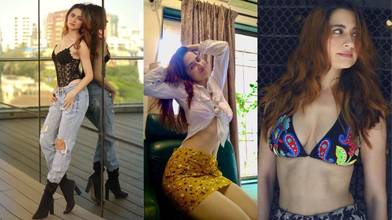 તે સોશિયલ મીડિયા પર પોતાના ગ્લેમરસ લુક્સ ચાહકો સાથે શેર કરે છે. સંજીદા શેખની ગણતરી ટોચની ટીવી અભિનેત્રીઓમાં થાય છે.