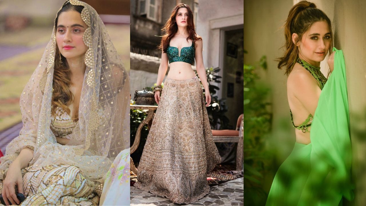 અભિનેત્રી સંજીદા શેખે 19 વર્ષની ઉંમરે અમિતાભ બચ્ચનની ફિલ્મ "બાગબાન" થી ફિલ્મ ઈન્ડસ્ટ્રીમાં પ્રવેશ કર્યો હતો. ફિલ્મમાં તેમનો રોલ નાનો હોવા છતાં, તેમના અભિનયની ખૂબ પ્રશંસા થઈ હતી. 2003માં આવેલી ફિલ્મમાં તેમણે નીલીની ભૂમિકા ભજવી હતી.